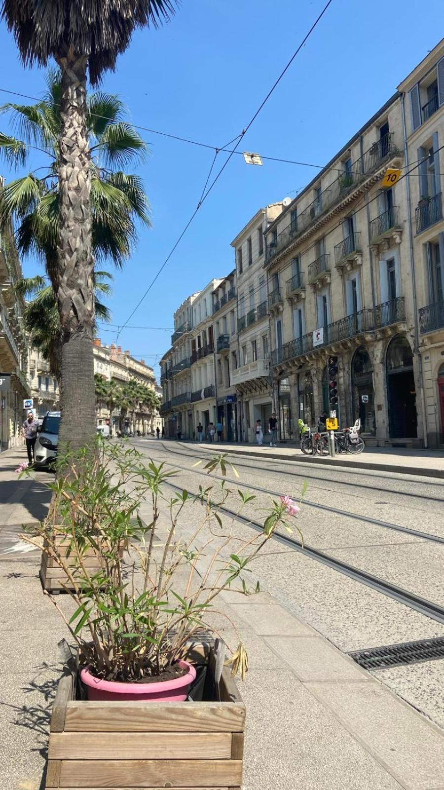 Renaissance Apartment Montpellier Ngoại thất bức ảnh